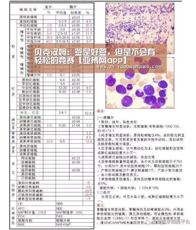 亚搏网app