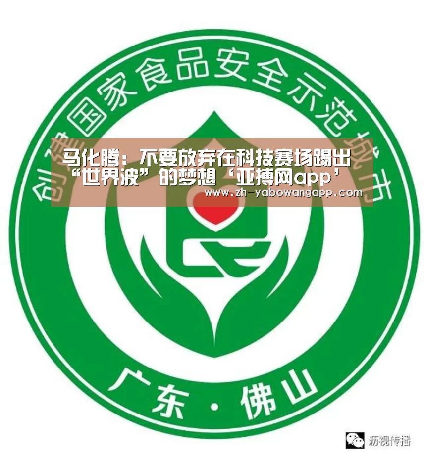 马化腾:不要放弃在科技赛场踢出“世界波”的梦想‘亚搏网app’(图2) 亚搏网app