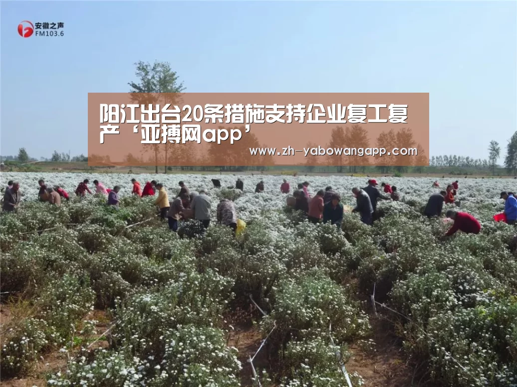 阳江出台20条措施支持企业复工复产‘亚搏网app’(图1) 亚搏网app