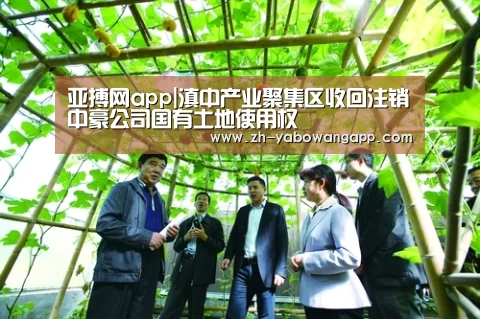 亚搏网app|滇中产业聚集区收回注销中豪公司国有土地使用权(图2) 亚搏网app