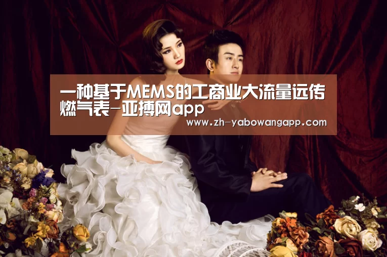 一种基于MEMS的工商业大流量远传燃气表-亚搏网app(图1) 亚搏网app