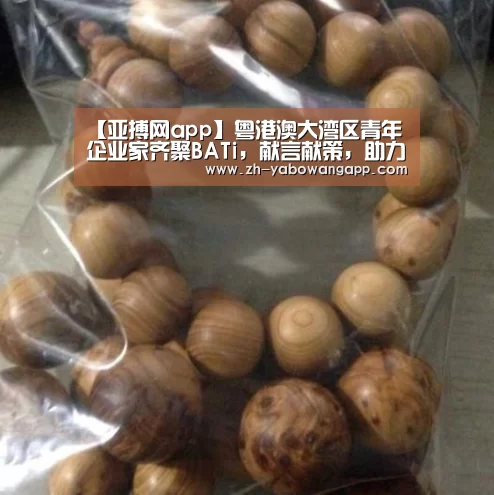 【亚搏网app】粤港澳大湾区青年企业家齐聚BATi,献言献策,助力大湾区发展(图1) 亚搏网app