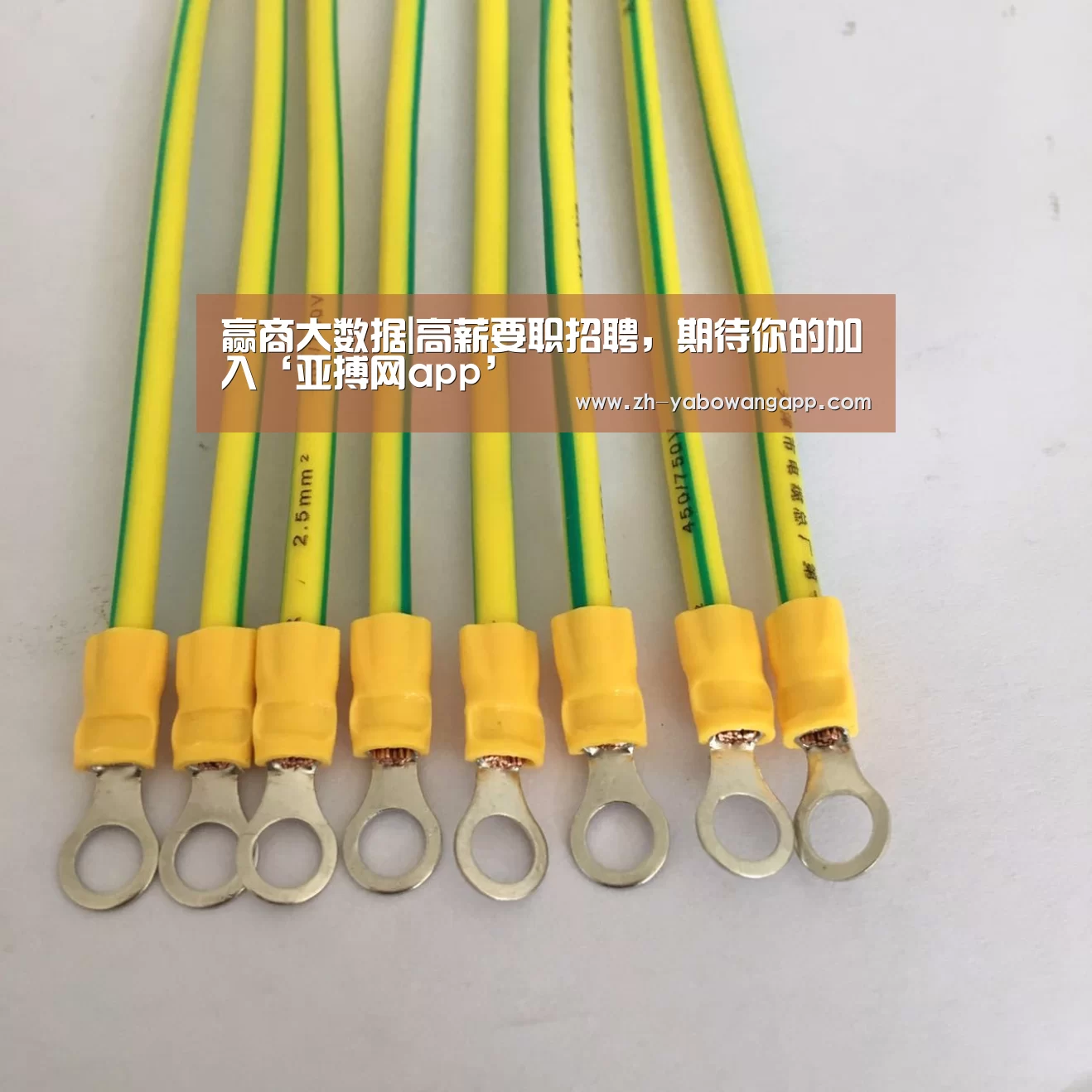 赢商大数据|高薪要职招聘,期待你的加入‘亚搏网app’(图1) 亚搏网app