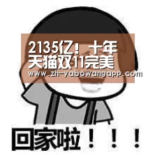 2135亿!十年天猫双11完美收官,阿里商业系统赋能效应凸显‘亚搏网app’(图1) 亚搏网app
