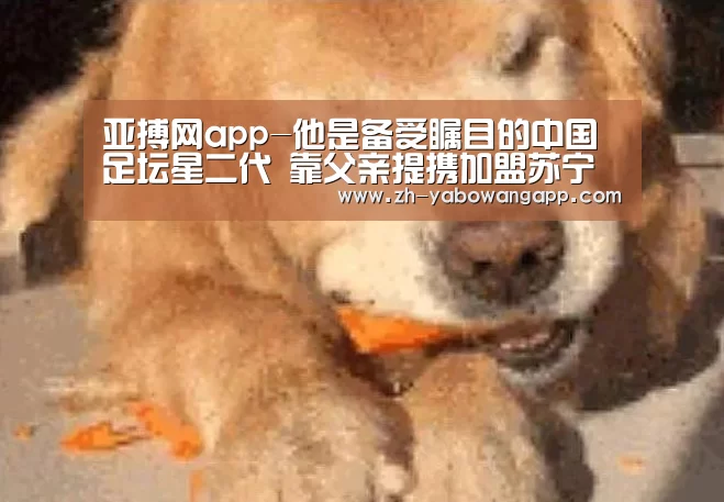 亚搏网app-他是备受瞩目的中国足坛星二代 靠父亲提携加盟苏宁如今沦落中甲(图1) 亚搏网app