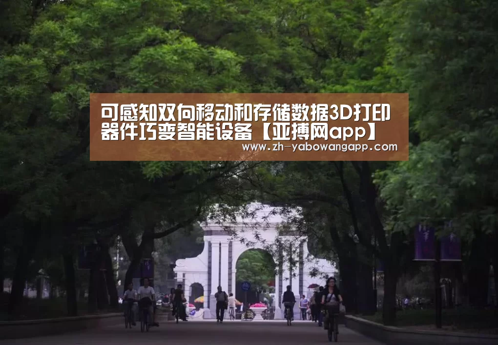 亚搏网app