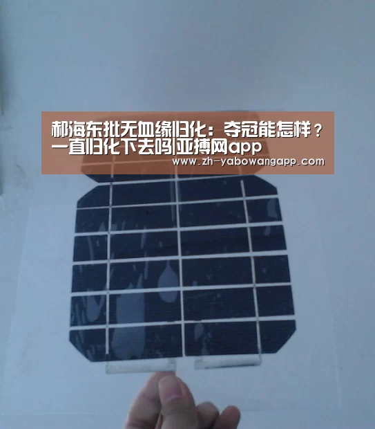 亚搏网app