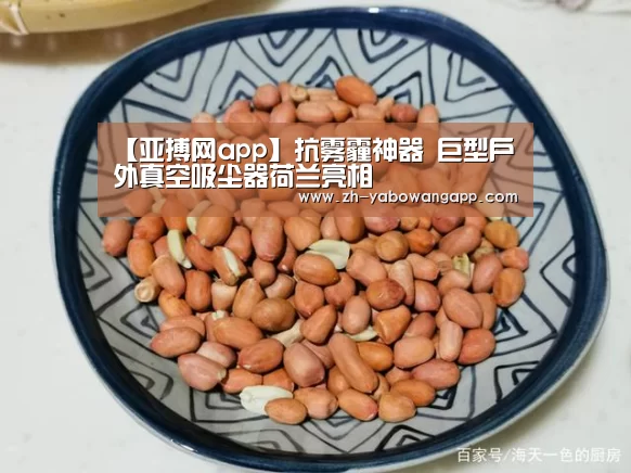 【亚搏网app】抗雾霾神器 巨型户外真空吸尘器荷兰亮相(图1) 亚搏网app