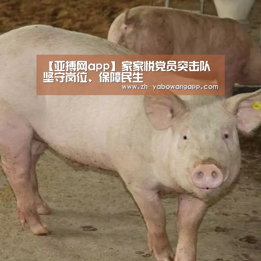 亚搏网app
