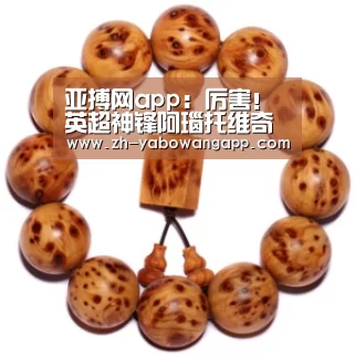 亚搏网app:厉害!英超神锋阿瑙托维奇报价3500万镑 太诱惑人(图3) 亚搏网app