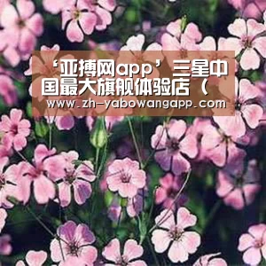 亚搏网app