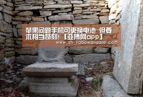 苹果问题手机可更换电池 但要求相当苛刻!【亚搏网app】(图4) 亚搏网app