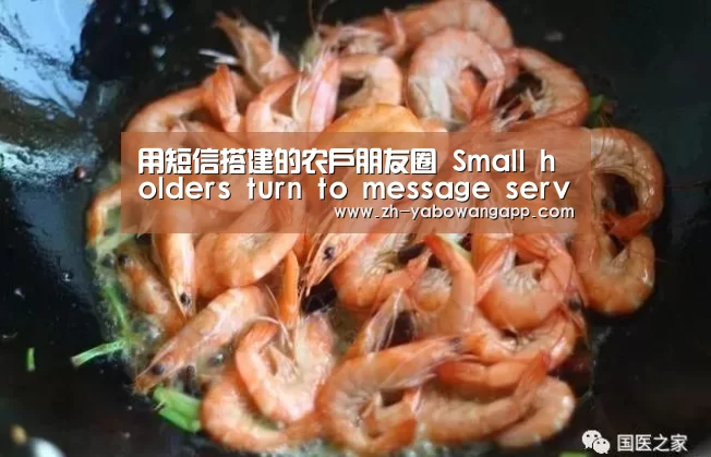 亚搏网app