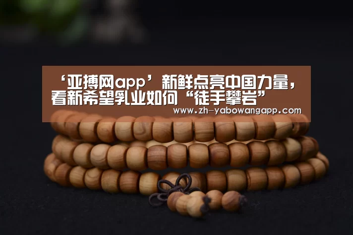 亚搏网app