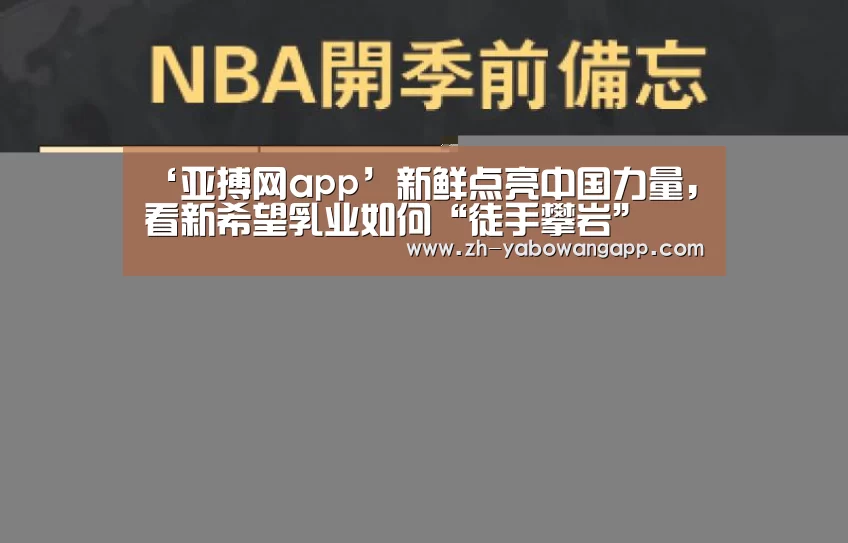 亚搏网app
