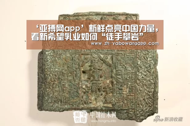 亚搏网app