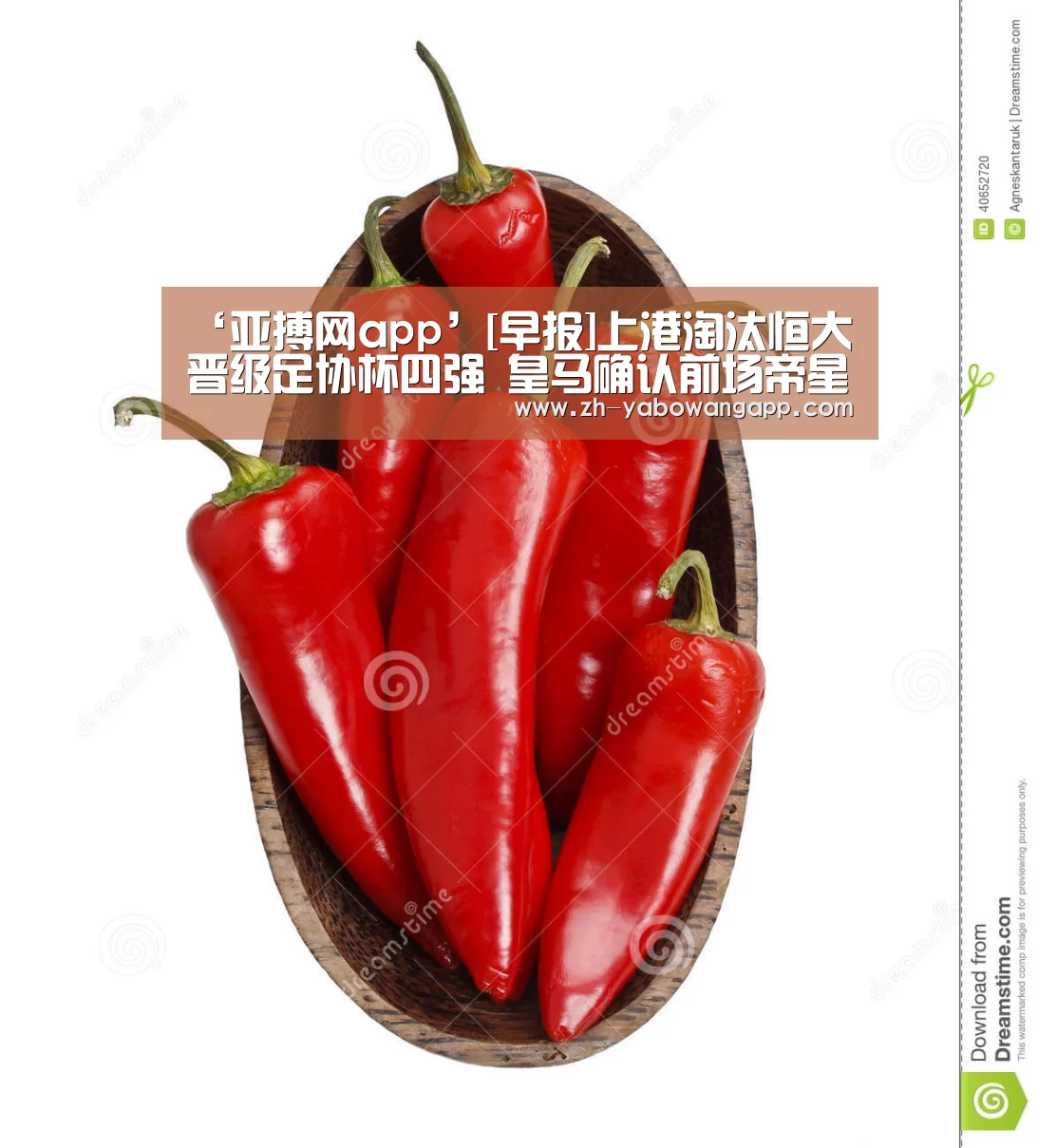 亚搏网app