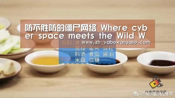 防不胜防的僵尸网络 Where cyber space meets the Wild West“亚搏网app”(图4) 亚搏网app