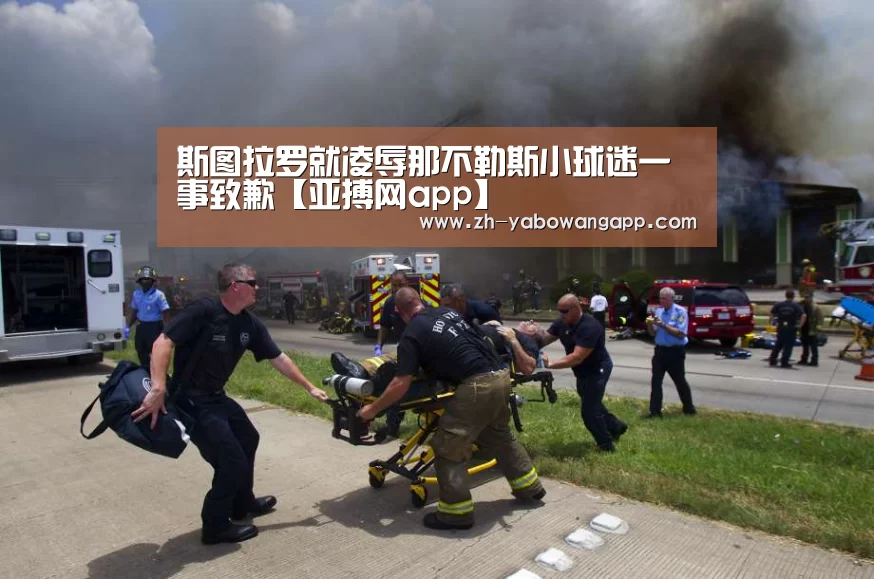 亚搏网app