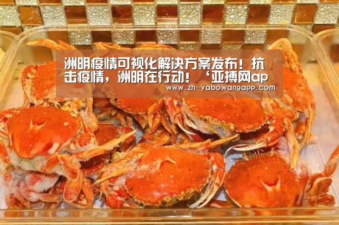 亚搏网app