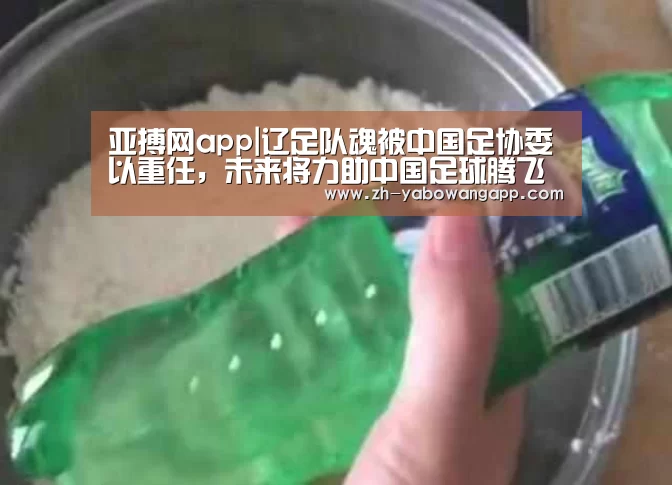 亚搏网app|辽足队魂被中国足协委以重任,未来将力助中国足球腾飞亚洲(图2) 亚搏网app