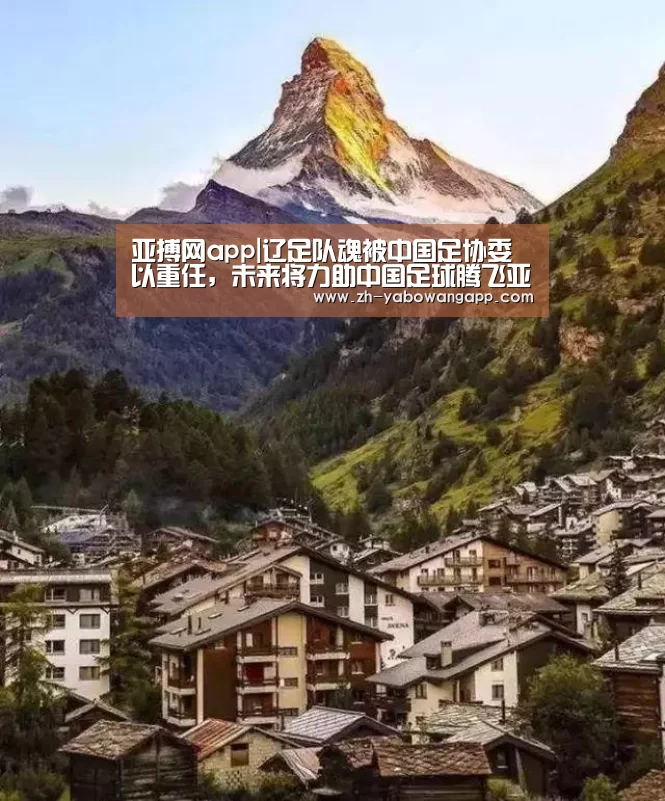 亚搏网app|辽足队魂被中国足协委以重任,未来将力助中国足球腾飞亚洲(图1) 亚搏网app