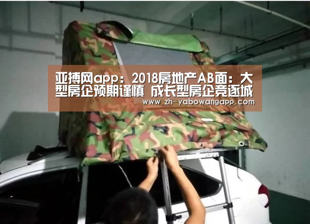 亚搏网app:2018房地产AB面:大型房企预期谨慎 成长型房企竞逐城市群(图2) 亚搏网app