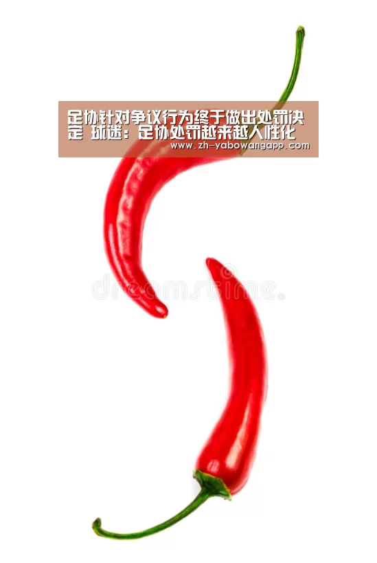 足协针对争议行为终于做出处罚决定 球迷:足协处罚越来越人性化“亚搏网app”(图1) 亚搏网app